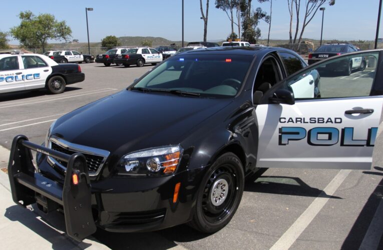 Suspected ringleader of Carlsbad outlets theft crew arrested