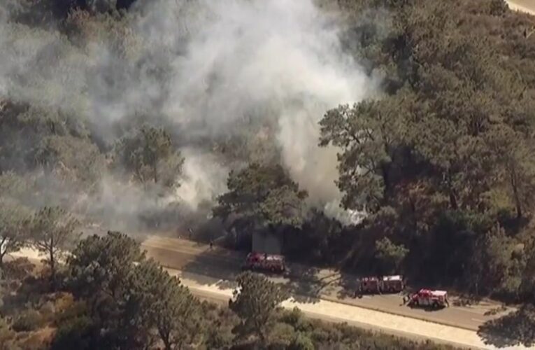 Firefighters stop brush fire near Torrey Pines Golf Course