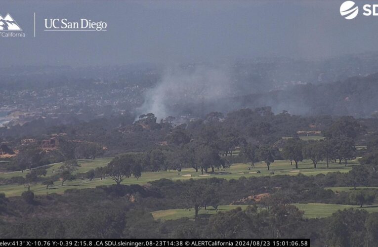 Crews battle brush fire in Torrey Pines State Natural Reserve