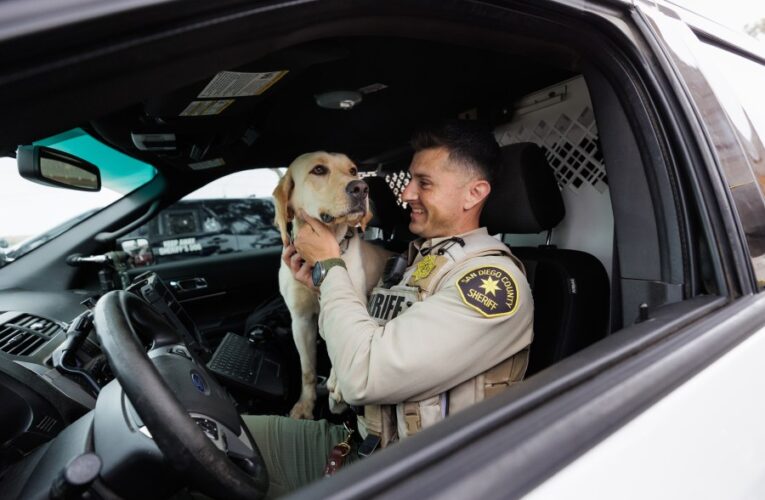 San Diego Sheriff’s Office adds four new explosive detection K-9s