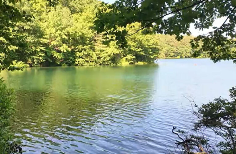 Saving Walden Pond: How a treasured landmark is under threat