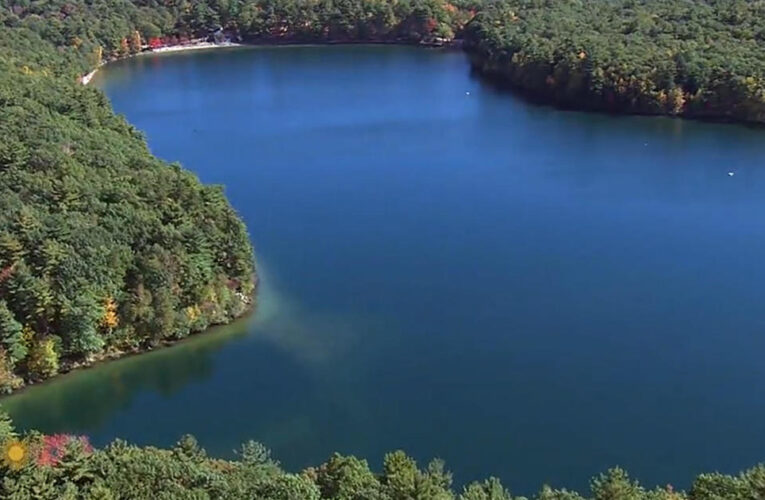 Walden Pond: An endangered treasure