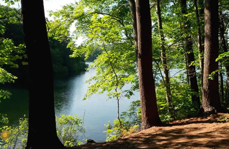 Nature: Walden Pond in Massachusetts