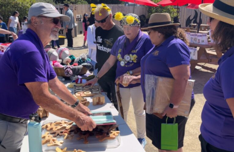 Relay for Life event raises money for cancer research