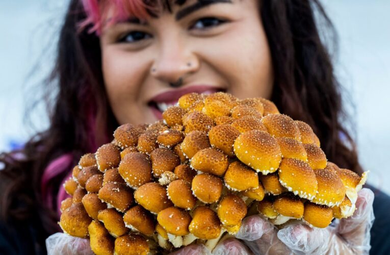 Farmers markets thrive across an Inland Empire hungry for healthy food