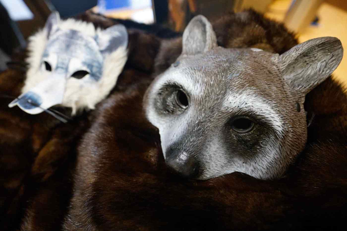 how-to-help-injured-and-orphaned-animals-stay-wild?-hint:-fur-coats-and-raccoon-masks.