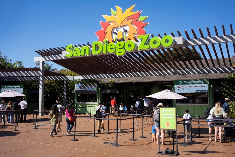 kids-can-attend-san-diego-zoo,-safari-park-halloween-events-for-free-in-october