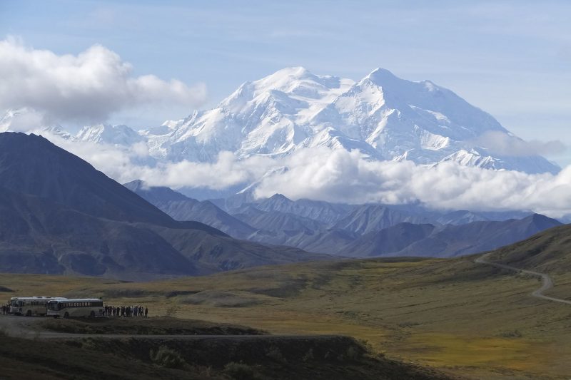 why-an-alaska-island-is-using-peanut-butter-and-black-lights-to-find-a-rat-that-might-not-exist