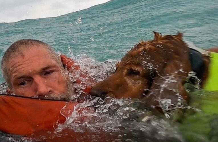 Coast Guard rescues man, dog during Hurricane Helene surge