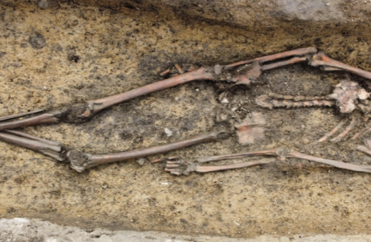 50 “exceptionally well-preserved” Viking skeletons unearthed in Denmark