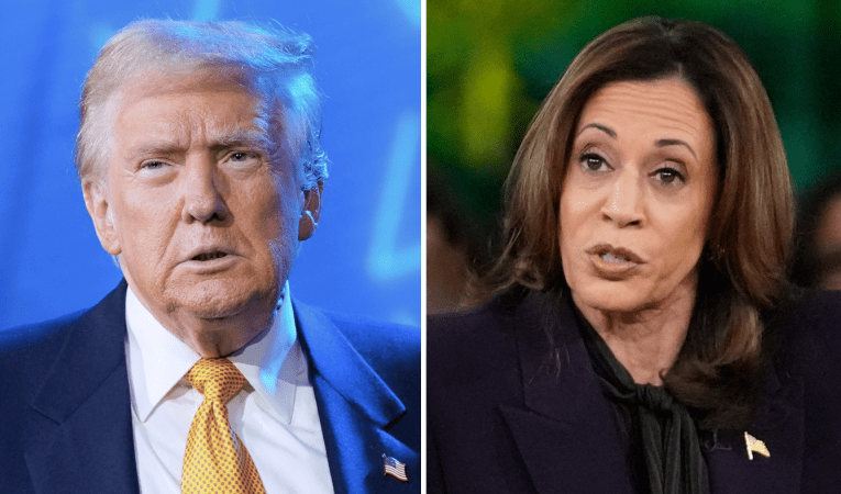 Trump tops Harris by 6 points in Arizona: Survey