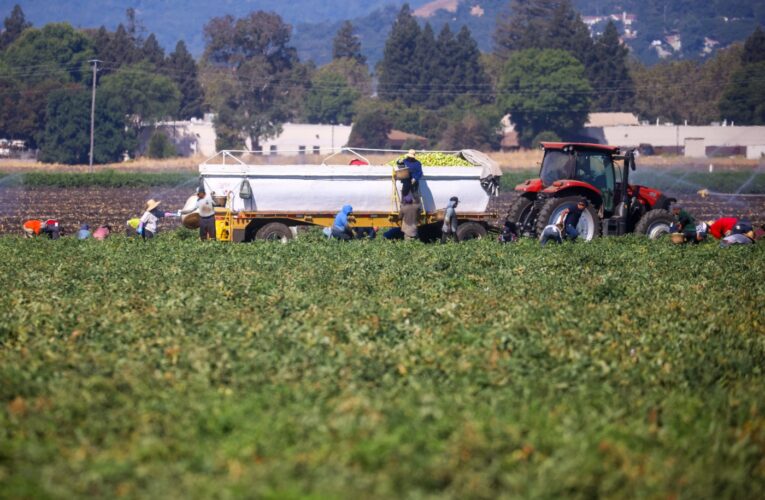 As extreme heat rises, Newsom blocks bill to protect California farmworkers