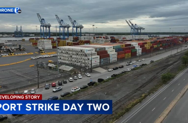 Port strike: Expert says don’t panic buy as dockworkers vow to stay on picket line