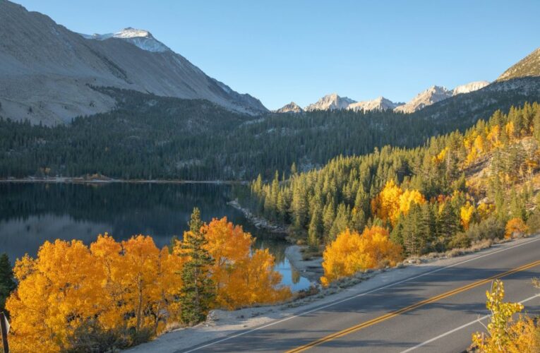 Some fall colors peaking near Mammoth Lakes; officials say ‘go now’