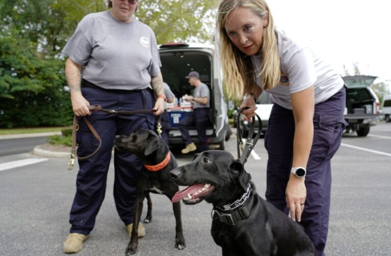 Search dogs trained in Southern California deployed for Hurricane Helene  rescue efforts