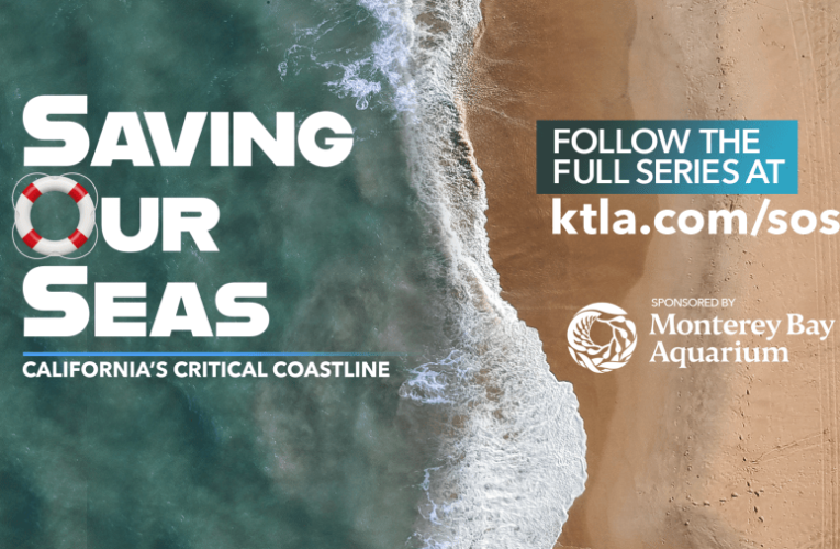 Watch Saving Our Seas on KTLA 5 Weekend Morning News