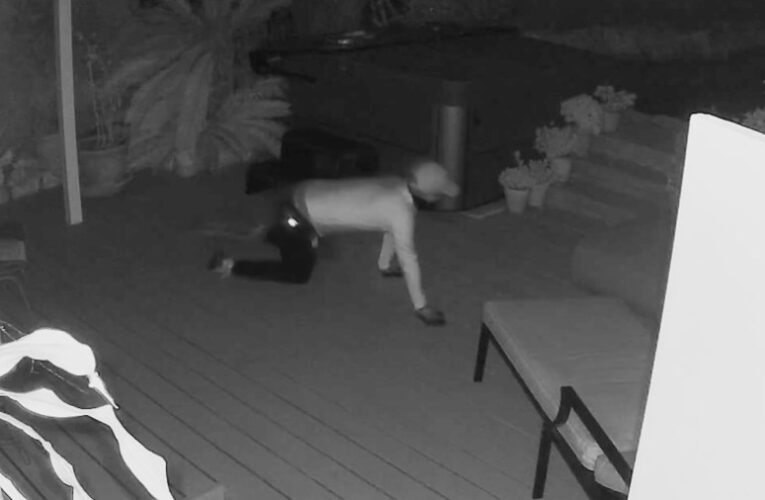 Thieves hit pair of Brentwood homes, neighbors find about $15K worth stolen