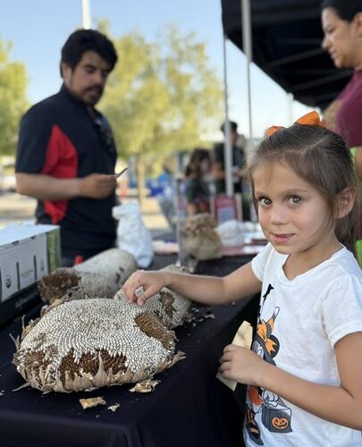 Farm to School: Promoting local, healthy eating amongst youth