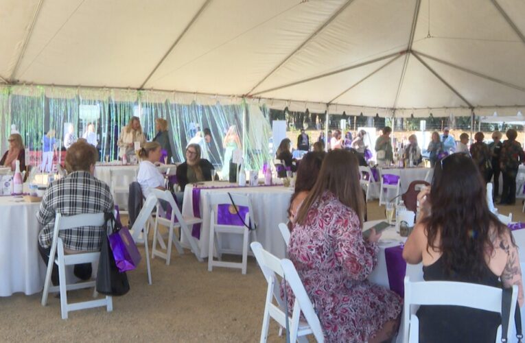 10th annual Fashions for a Purpose continues to raise awareness of Domestic Violence Awareness Month