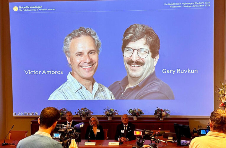 2 Massachusetts researchers awarded Nobel Prize in medicine