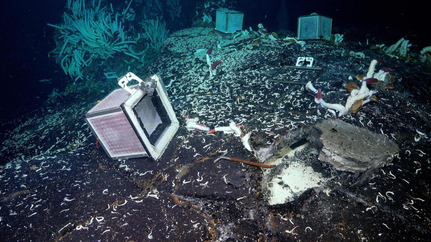 tubeworms,-snails-and-other-weird-creatures-found-under-the-seafloor