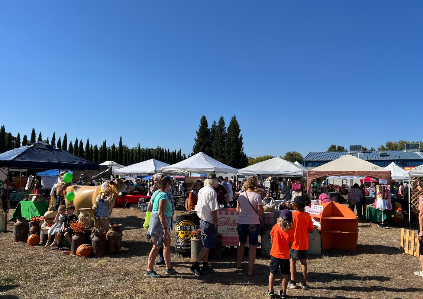 go-nuts!-festival-offers-bountiful-local-harvest-and-family-fun