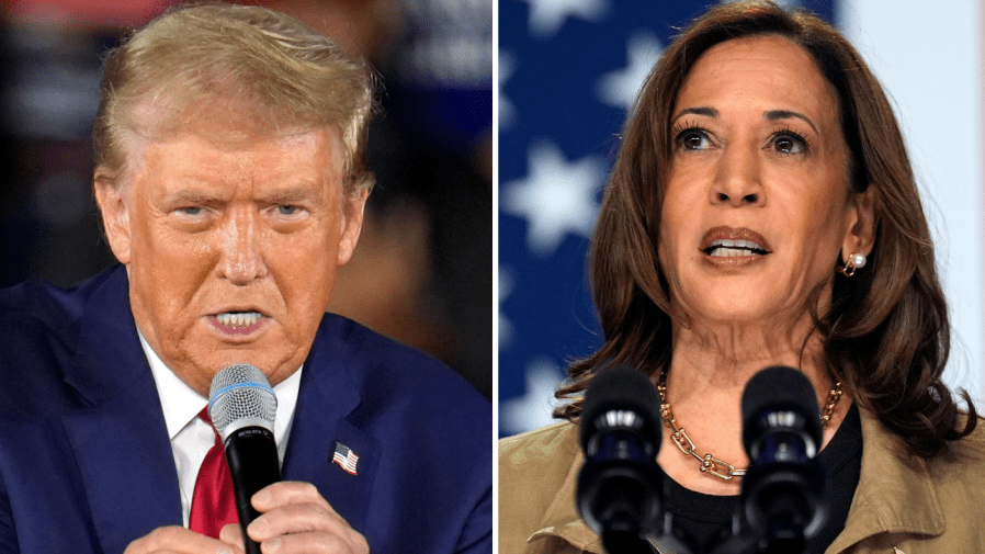 harris-holds-24-point-lead-over-trump-in-california