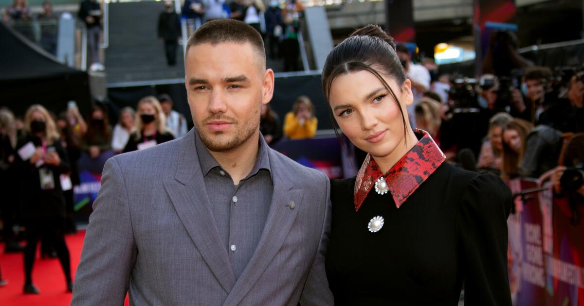 liam-payne’s-ex-girlfriend-wrote-a-book-about-a-pop-star-who-threatens-to-jump-off-a-balcony