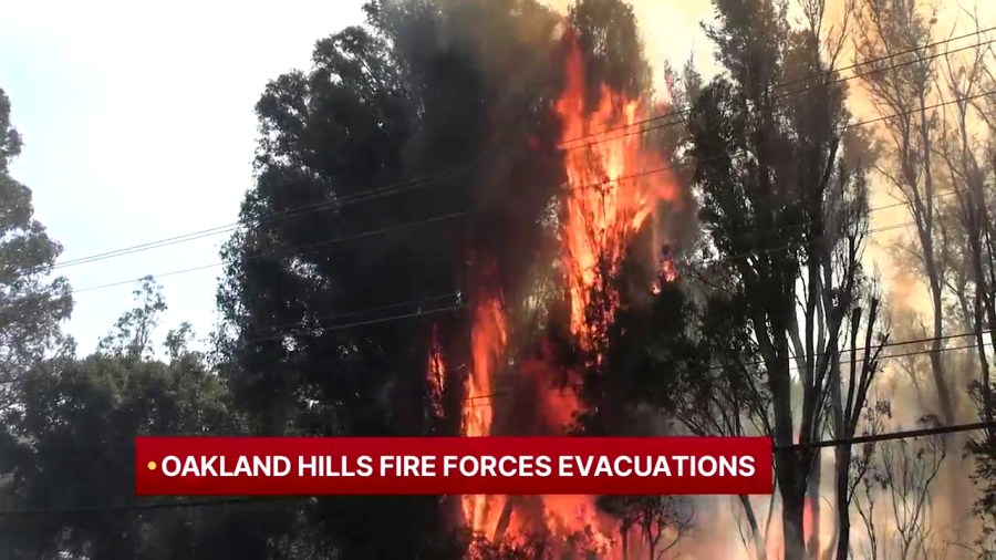 evacuation-orders-in-place-for-4-alarm-fire-near-oakland-hills