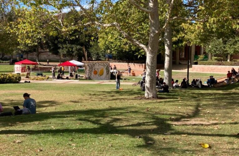 1 arrested following ‘unauthorized’ pro-Palestine demonstration at UCLA