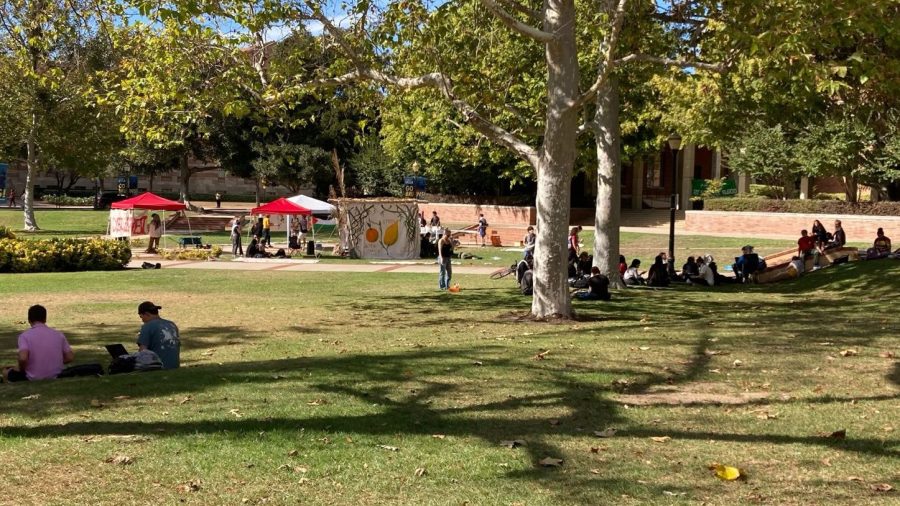 1-arrested-following-‘unauthorized’-pro-palestine-demonstration-at-ucla