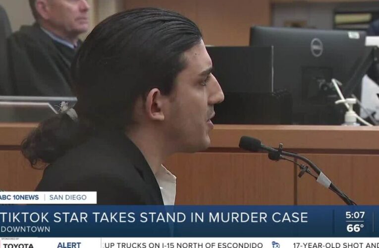 TikTok star charged with murder admits to violent relationship in court