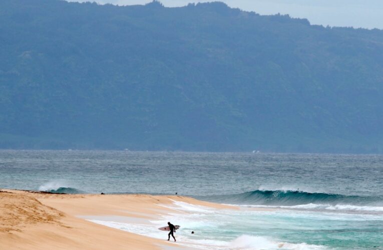 Shark bites 61-year-old Maui surfer, completely severing his leg below the knee