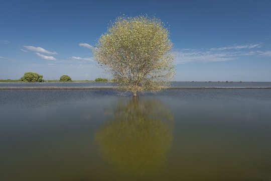 ‘Return of the Lake’ photo exhibition now at Carnegie Lobby Gallery