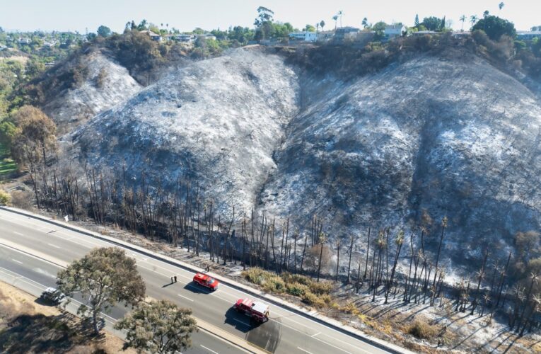 Road back open near site of College Area fire