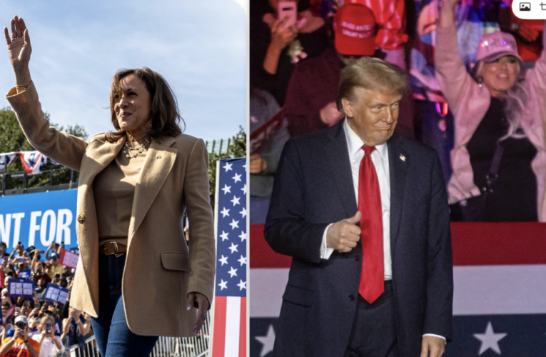 How turnout and persuasion could play out for Trump, Harris in battlegrounds