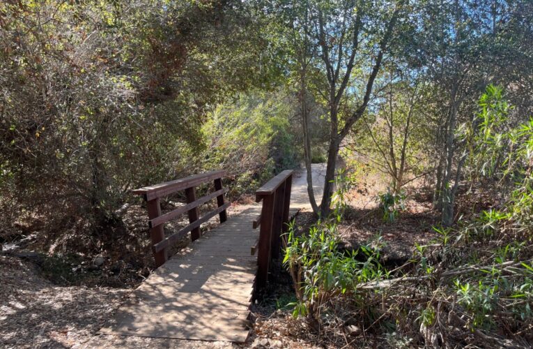 Hike of the week: Tecolote Canyon makes for a simple weekday hike in the city