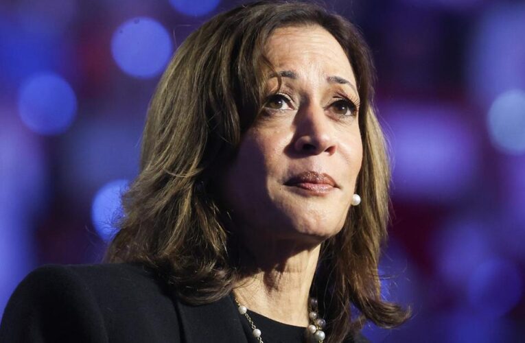 Breaking down the poll showing Kamala Harris with the lead in Iowa