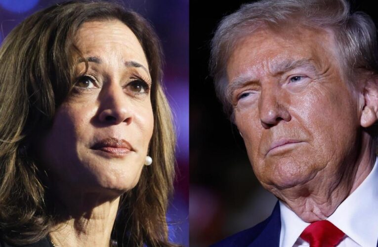 Harris, Trump making final pitches for president before Election Day