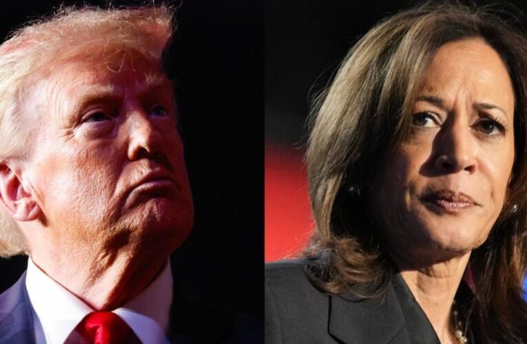 Trump projected to win Utah, Montana; Harris to win Illinois, Delaware