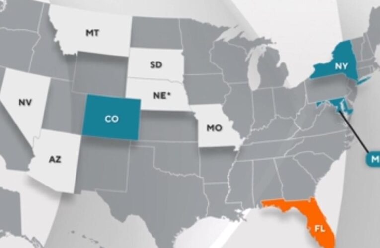 How states voted on reproductive rights in the 2024 election