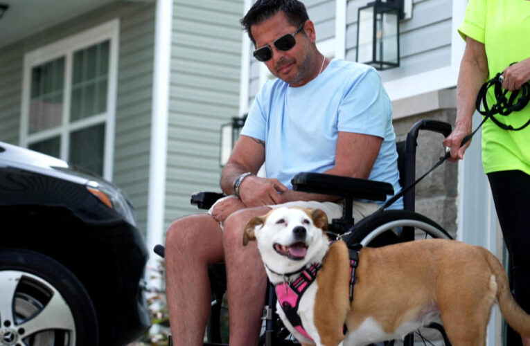 Tiki the dog helps man survive gunshot to the head