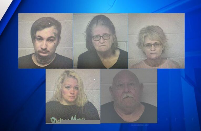 5 charged after 2-year-old, several dogs found caged in home: police