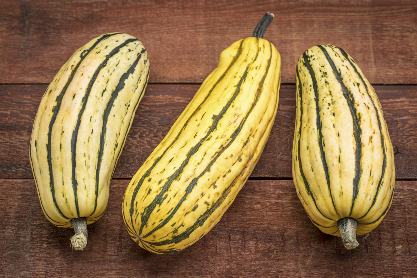 it’s-squash-season,-and-we’re-all-about-delicata