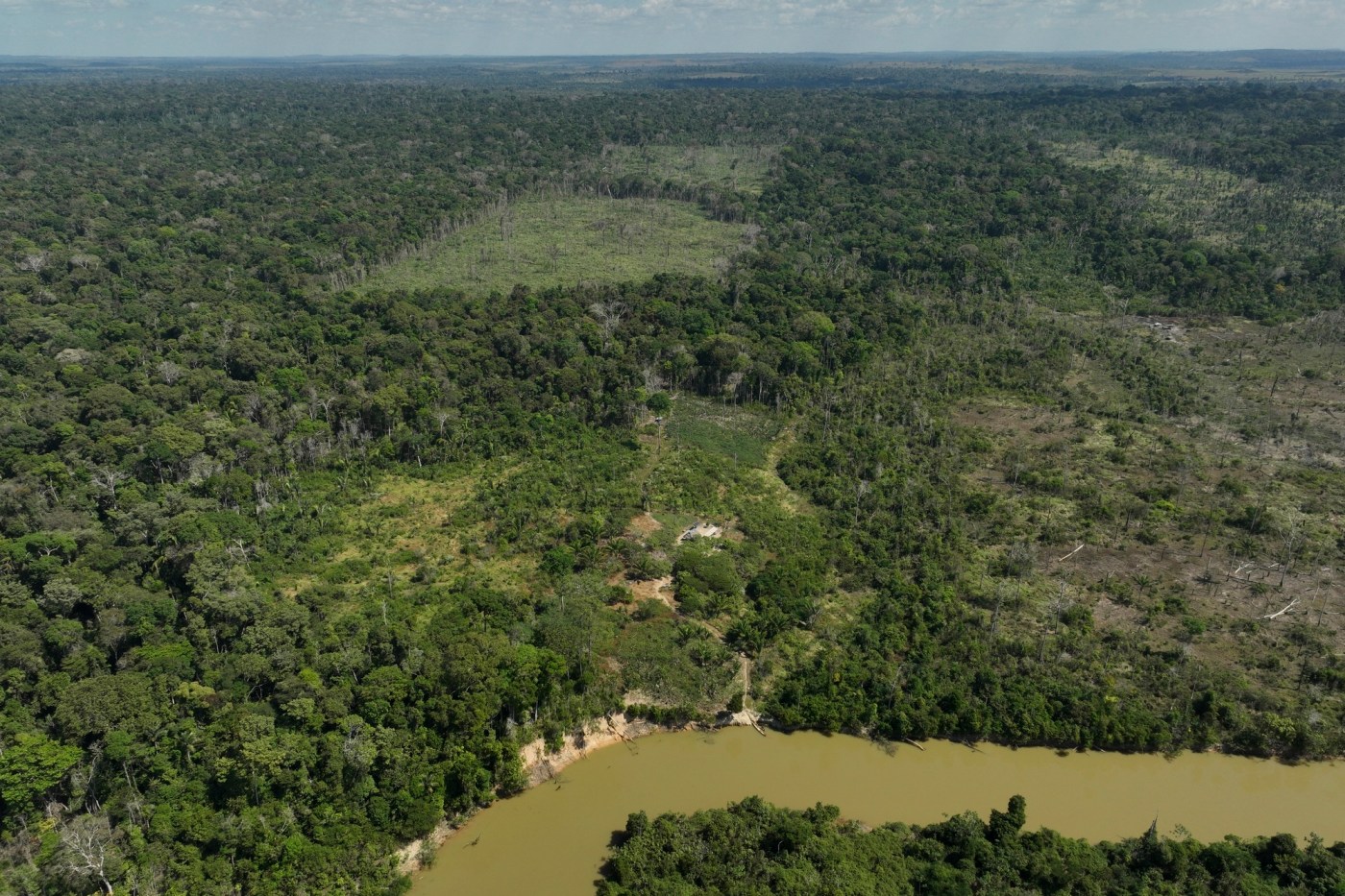 amazon-deforestation-drops-by-31%-compared-to-last-year