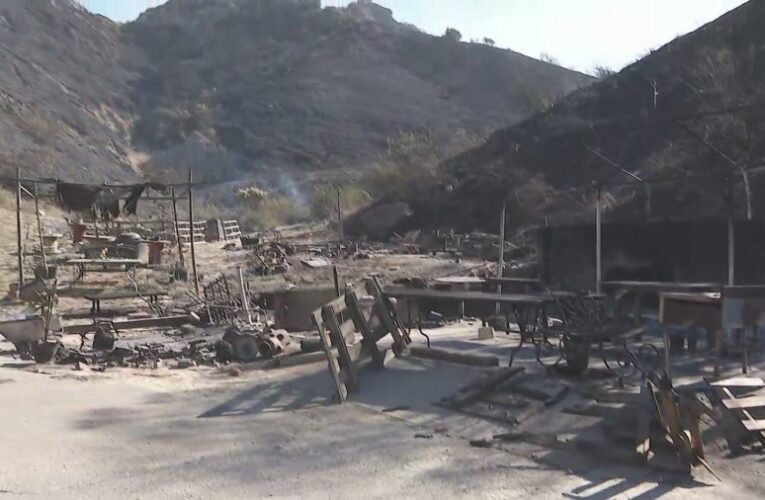 ‘It got here so fast’: Mountain Fire destroys century-old Santa Paula home as homeowner escapes with pets