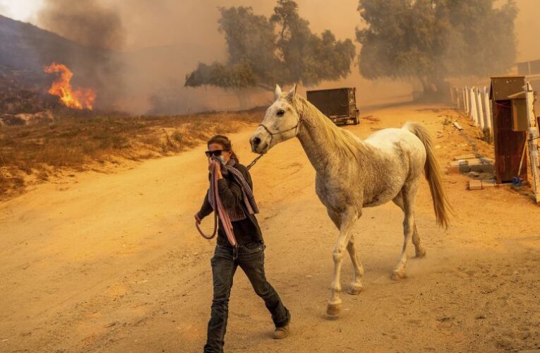 Video shows horse trainer’s harrowing escape from the Mountain Fire