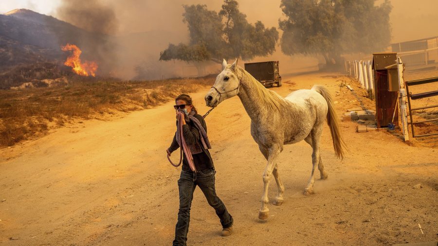 video-shows-horse-trainer’s-harrowing-escape-from-the-mountain-fire