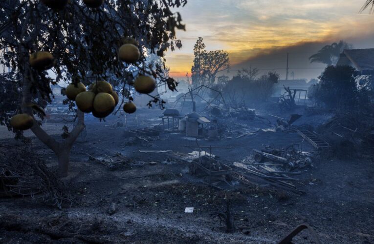 2 weeks after they inherited a home, the Mountain fire wiped away their fresh start