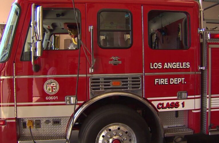 2 dogs, possibly 10 cats killed in San Fernando Valley mobile home fire